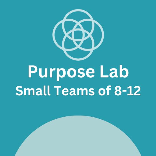 Holomovement Purpose Lab