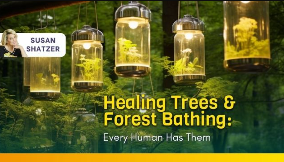 Healing Trees & Forest Bathing: Every Human Has Them
